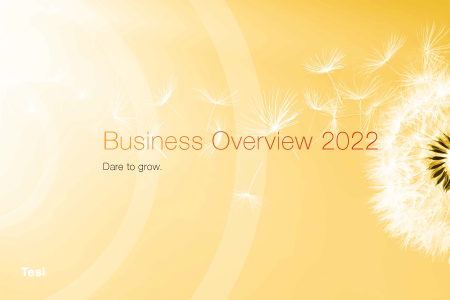 Business Overview 2022