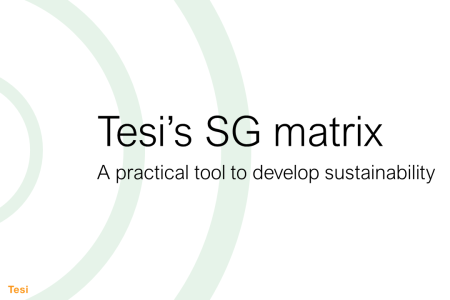 Tesi’s new ESG tool for investors, startups and growth companies