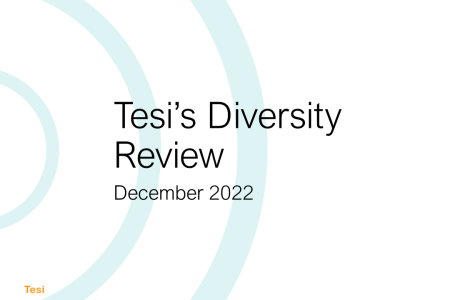 Tesi’s Diversity Review