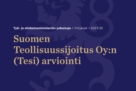 Suomen Teollisuussijoitus Oy:n (Tesi) arviointi