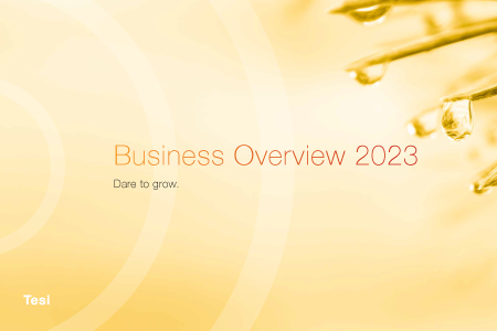Business Overview 2023