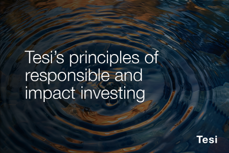 Tesi’s Responsible Investment Principles