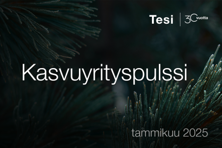 Tesin selvitys: Kasvuyrityspulssi