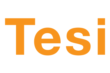 Concentration of state capital investment activities under Tesi is completed
