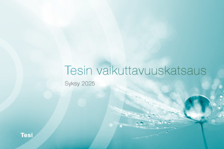 Tesin vaikuttavuuskatsaus: 30 vuotta kasvun rakentajana ja pääomasijoitusmarkkinan kehittäjänä