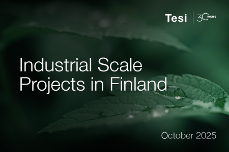 Industrial scale projects in Finland 2025